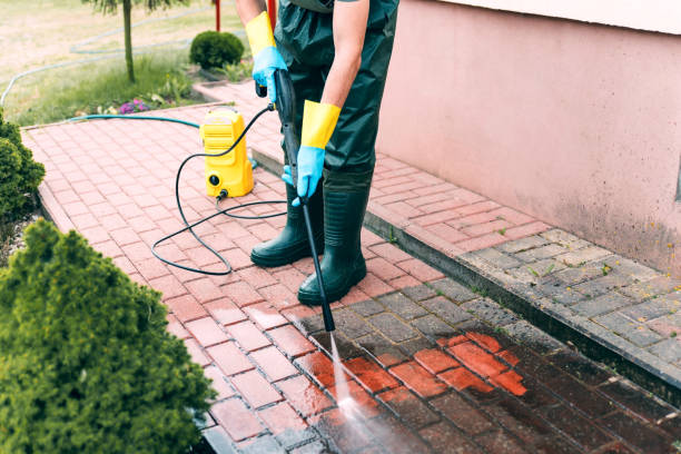 Best Driveway Pressure Washing  in South Greeley, WY